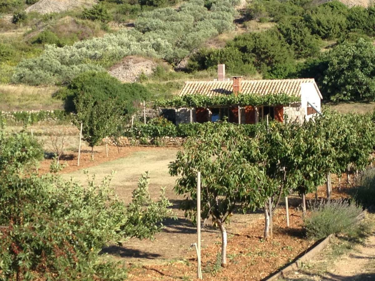 Komiža Country House Speedy المظهر الخارجي الصورة